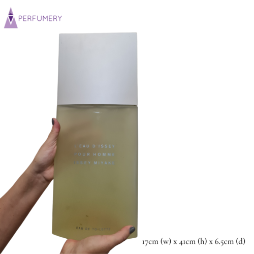 L'Eau D'Issey Pour Homme by Issey Miyake Giant Factice
